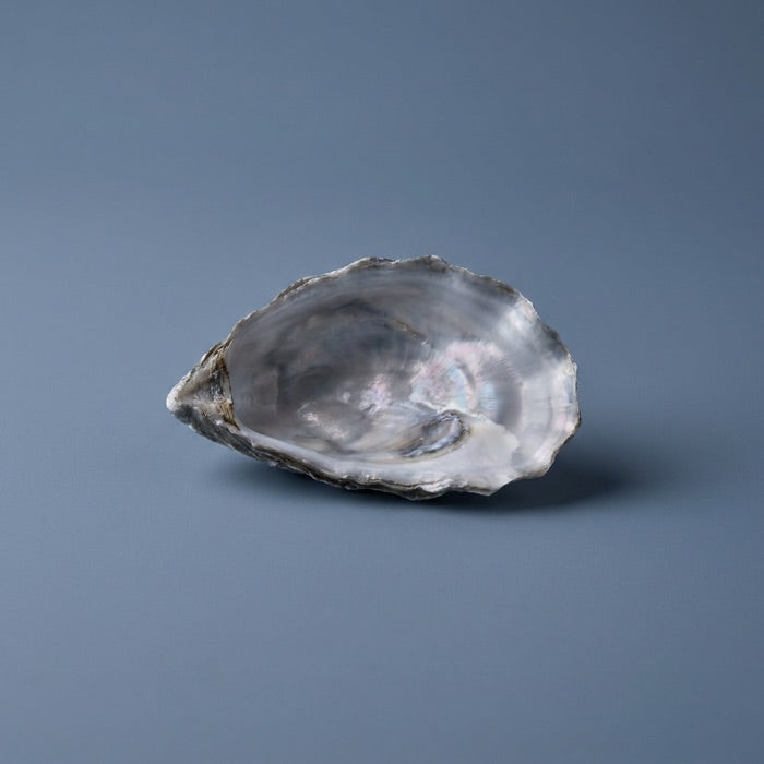 Zinc (bisglicinato)